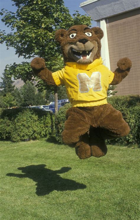 Iconic montana grizzly bear mascot